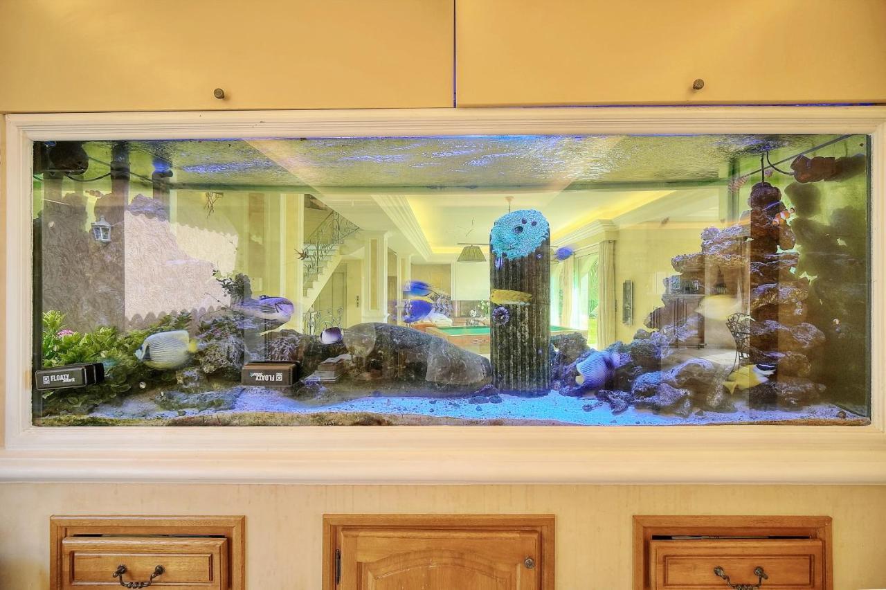 "Au Havre De Paix" 5 Etoiles Prestige Jacuzzi, Hammam, Sauna, Piscine Chauffee Mougins Cannes Grasse Экстерьер фото